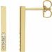 Accented Bar Earrings