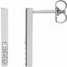 Accented Bar Earrings