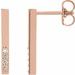Accented Bar Earrings