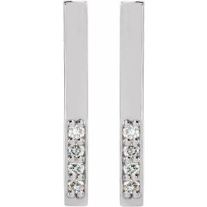 Accented Bar Earrings