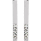 Accented Bar Earrings