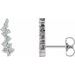 Accented Ear Climbers