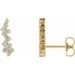 Accented Ear Climbers