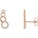 Accented Geometric Ear Climbers