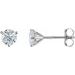Round 3-Prong Cocktail-Style Stud Earrings