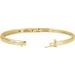 Accented Hinged Bangle Bracelet