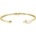 Accented Hinged Bangle Bracelet