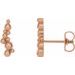 Beaded Ear Climbers