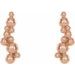 Beaded Ear Climbers