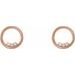 Accented Circle Earrings