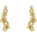 Beaded Ear Climbers