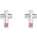 Accented Cross Earrings