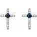 Accented Cross Earrings