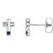 Accented Cross Earrings