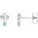 Accented Cross Earrings