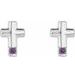 Accented Cross Earrings