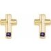 Accented Cross Earrings