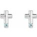 Accented Cross Earrings