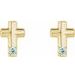 Accented Cross Earrings