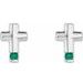 Accented Cross Earrings
