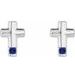 Accented Cross Earrings