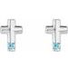 Accented Cross Earrings