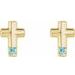 Accented Cross Earrings