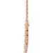 Accented Circle Necklace or Center