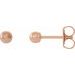 Ball Earrings with Bright Finish