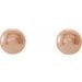 Ball Earrings with Bright Finish