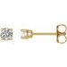 Round 4-Prong Lightweight Stud Earrings