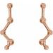 Constellation Ear Climbers