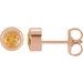 Round Bezel-Set Birthstone Stud Earrings