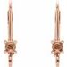Accented Lever Back Earring Top
