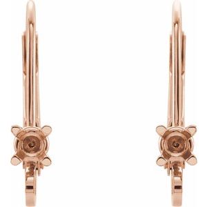 Accented Lever Back Earring Top