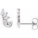 Accented Ear Climbers