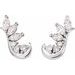 Accented Ear Climbers