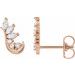 Accented Ear Climbers