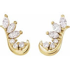 Accented Ear Climbers