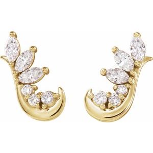 Accented Ear Climbers