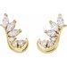 Accented Ear Climbers
