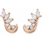 Accented Ear Climbers