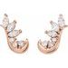 Accented Ear Climbers