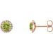 Round 4-Prong Halo-Style Earrings