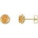 Round 4-Prong Halo-Style Earrings