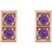 Two-Stone Earrings