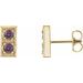 Two-Stone Earrings