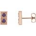 Two-Stone Earrings