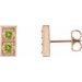 Two-Stone Earrings