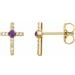 Accented Cross Earrings